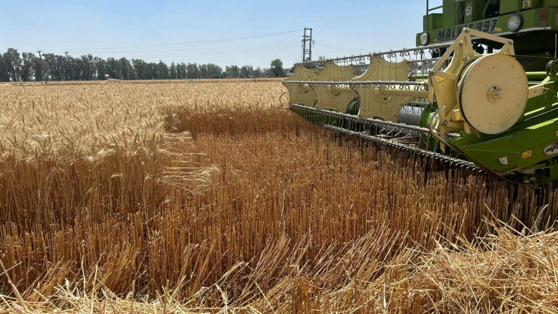 Czym wyróżnia Się Plus-50 II Sekrety formuły premium