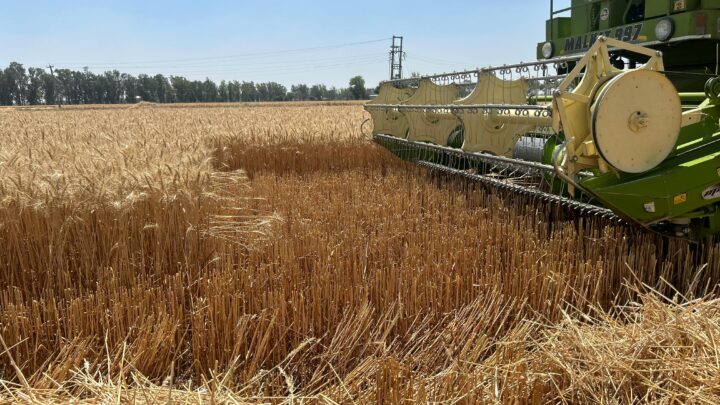 Czym wyróżnia Się Plus-50 II Sekrety formuły premium